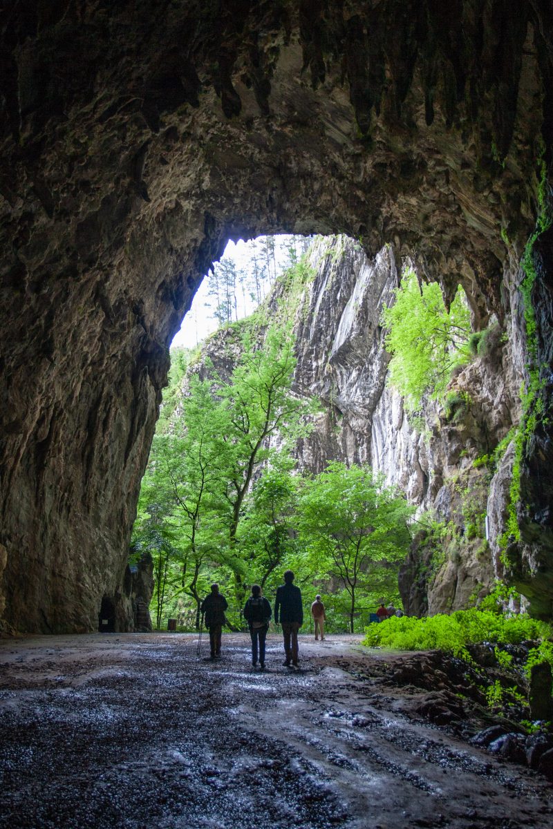 People walking out cave entrance toward lush green trees