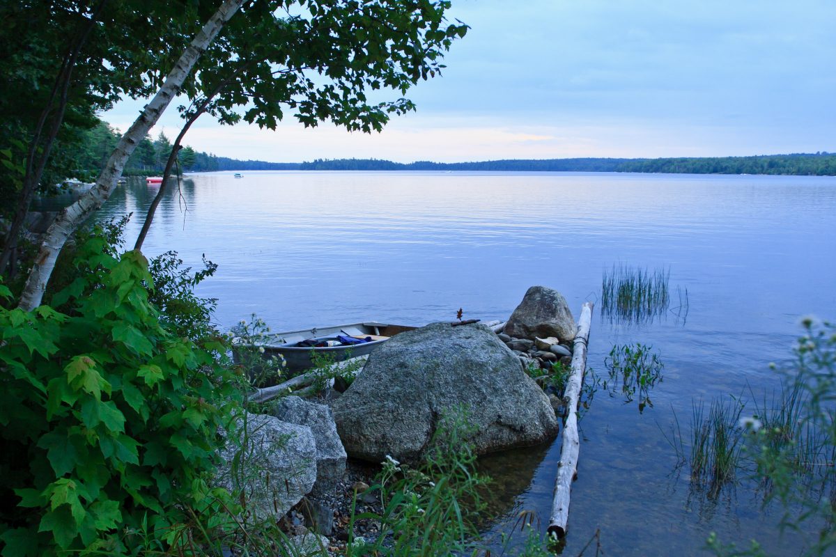 View out across large lake with rowboat, log, and green trees in foreground