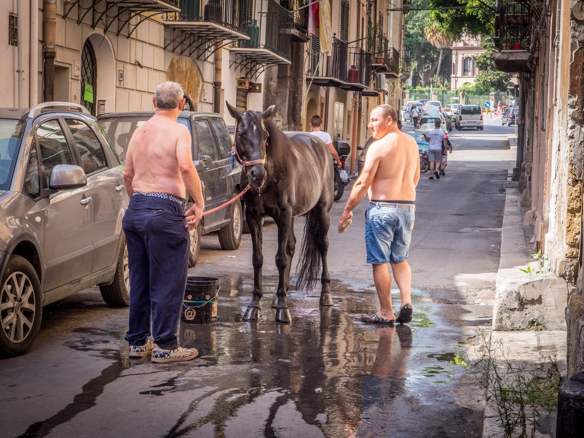Men washing horse in city street